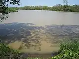 中津湖