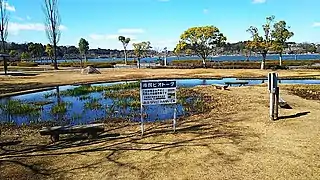 ハナミズキ広場ビオトープ