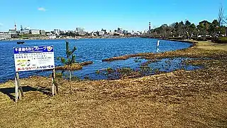 南岸ビオトープ