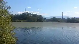 田子池