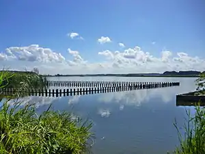 県立印旛手賀自然公園(手賀沼)