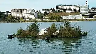 流動促進装置（湖南東側）