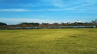 千波公園のさくら広場