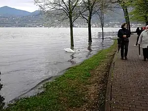 ボジージオ・パリーニの風景