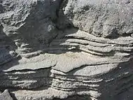噴出した場所から 100&nbsp;ft (30&nbsp;m)離れた場所の凝固した石油の層。2008年3月の画像では、約 10&nbsp;in (250&nbsp;mm)の地層が確認できる