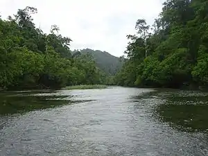 ランピ島の河川
