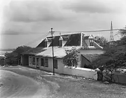 ハトのLandhuis(1954年撮影)