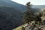 キリニ山周辺の風景