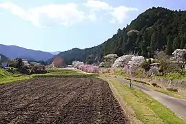 下津具の風景