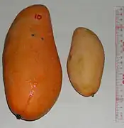 ペリカンマンゴー種の果実