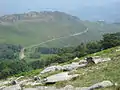 山裾を走る列車