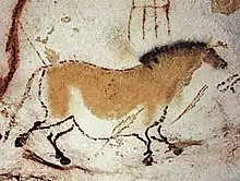 薄墨毛の馬