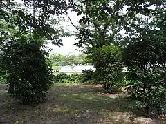 李鍝が発見された地。