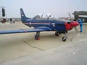 セルビア空軍及び防空軍のラスタ95