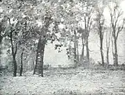 "October Evening"
