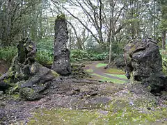 熔岩樹型(ハワイ島)
