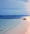 あざらしが横たわる美しい海岸 - 1969年6月