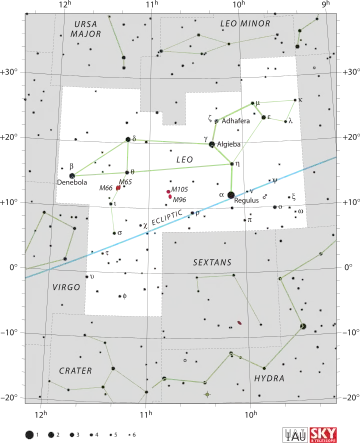 Leo