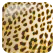 ヒョウ
