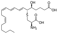 ロイコトリエンE4