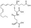 ロイコトリエンF4