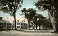 レキシントン楡の木、1908年