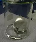 {{{画像alt1}}}