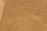 サギ