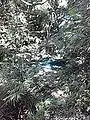利吉温泉 第二源泉
