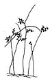 全体の姿
