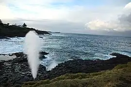 Kiama Blowhole（英語版） イギリス