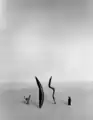 『小さな漂流者』(1950年)