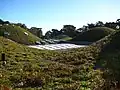 カリフォルニア・科学アカデミー新館