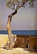 檉柳