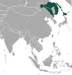 分布域