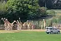 ロングリートのサファリパーク