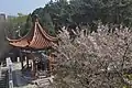 龍王塘ダムの右岸に日本風(中国風?)東屋