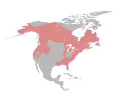 分布域