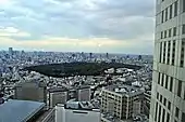 都会の身近な自然明治神宮の森