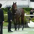 ロードカナロア