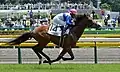 2015年新馬戦