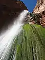 North Kaibab Trail
