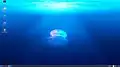 22.04(Jammy Jellyfish)