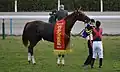 優勝レイ