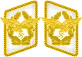 襟章