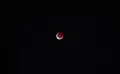 キャンベラ、11:11 (UTC)