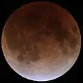 シンガポール