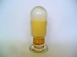 瓶詰めの胞子