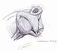リストロサウルス・ムッカイギ Lystrosaurus mccaigi の頭部（想像図）