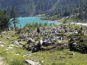 セルヴァ・デイ・モリーニの風景